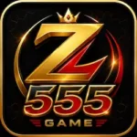 Z555