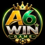 A6WIN