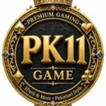 PK11 Game APK