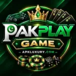 PakPlay Game Bet
